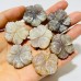 18 Pieces Moonstone Mixed Sunstone Flower Carving