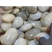 Moonstone Palm Crystal Wholesale