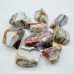 Beautiful Morocco Agate Free Form Wholesale