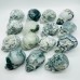 15 Pieces High Quality Moss Agate Geode Druzy Skull