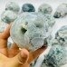 15 Pieces High Quality Moss Agate Geode Druzy Skull