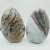 2 Pieces Large Colorful Ocean Jasper Free Form