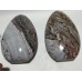 2 Pieces Large Colorful Ocean Jasper Free Form