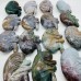 15 Pieces Ocean Jasper Kidney Carving