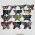 13 Pieces Colourful Ocean Jasper Large Butterfly Carving