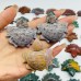 41 Pieces Colourful Ocean Jasper Sea Turtle Carving