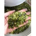 Normal Grade Green Peridot Gravel Chips