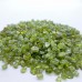 0.1in(3mm) High Quality Peridot Gravel Chips Wholesale