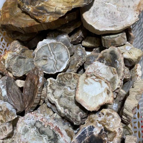 Fossil Wood Stone 1kg(2.2lbs)Wholesale