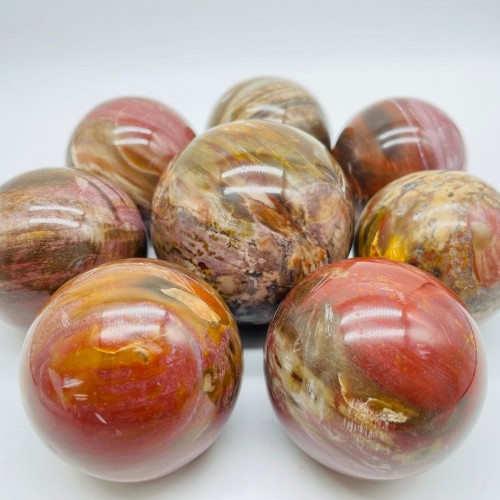 Petrified Wood Sphere Ball Wholesale