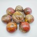 Petrified Wood Sphere Ball Wholesale