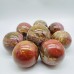 Petrified Wood Sphere Ball Wholesale