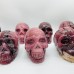 6 Pieces Large Petrified Wood Skull Carving