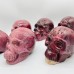 6 Pieces Large Petrified Wood Skull Carving