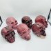 6 Pieces Large Petrified Wood Skull Carving