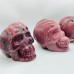 6 Pieces Large Petrified Wood Skull Carving