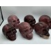 6 Pieces Large Petrified Wood Skull Carving