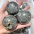 21 Pieces Flower Pyrite Mixed Agate Sphere Ball