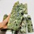 10 Pieces Large Rain Forest Jasper Tower Closeout