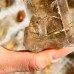 55 Pieces High Quality Gold Rutile Quartz Raw Stone