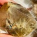 55 Pieces High Quality Gold Rutile Quartz Raw Stone