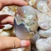 Sakura Agate Palm Stone Wholesale