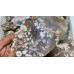 Sakura Flower Agate Slab Wholesale