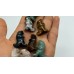 4 Types Dinosaur Tyrannosaurus Rex Carving Tiger Eye Moss Agate Wholesale