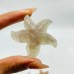 Sakura Flower Agate Starfish Carving Wholesale