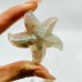 Sakura Flower Agate Starfish Carving Wholesale