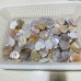 84 Pieces Sakura Flower Agate Heart