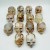 14 Pieces Sakura Agate Skull Carving