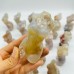 20 Pieces Large Sakura Agate Beautiful Goddess