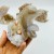 5 Pieces Sakura Flower Agate Geode Dolphin Carving