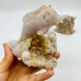 5 Pieces Sakura Flower Agate Geode Dolphin Carving