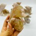 5 Pieces Sakura Flower Agate Geode Dolphin Carving