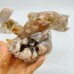 5 Pieces Sakura Flower Agate Geode Dolphin Carving