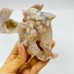 5 Pieces Sakura Flower Agate Geode Dolphin Carving