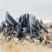 Deep Color Large Smoky Quartz Cluster