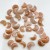 Mini Sunstone Moon Shape Wholesale