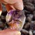 Super7 Amethyst Raw Crystal Wholesale