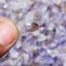 Mini Raw Super7 Amethyst Cacoxenite Crystal Wholesale