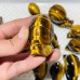 16 Pieces High Quality Tiger Eye Snails Carving