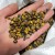 Tiger Eye Gravel Chips Wholesale