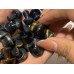 Mini Blue Mixed Yellow Tiger Eye Mushroom Wholesale